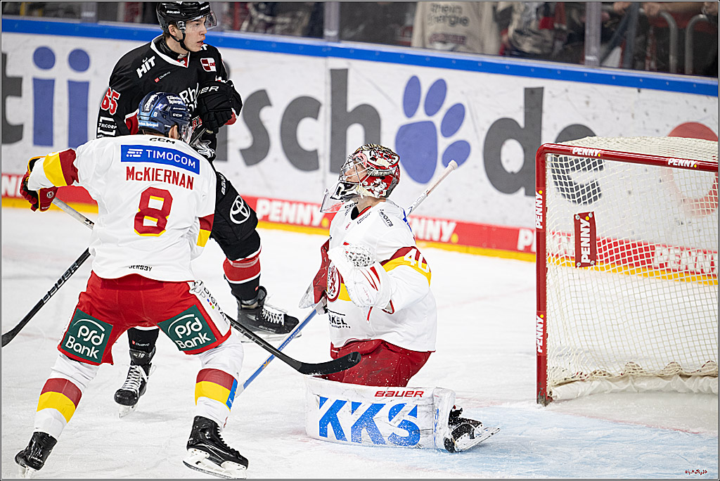 PENNY DEL 1; Kölner Haie - Düsseldorfer EG ; Köln, 16.02.2025